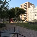 恵比須東公園（タコ公園）の写真_120677