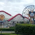 ディズニーランド・リゾートの写真_1206988