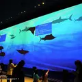 Orbi・Yokohaamの写真_120729