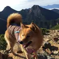 赤岩の頭の写真_120851