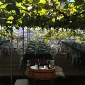 仏蘭西料理 BON-CHIC（ボンシィク）の写真_121077
