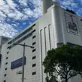メーグルの写真_1211233