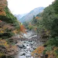 祖谷のかずら橋の写真_121136