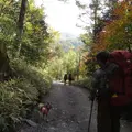 八ケ岳山荘の写真_121297