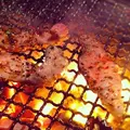 炭火焼肉 十炭の写真_121356