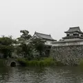 福岡城跡の写真_121367