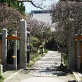 宝戒寺の写真_121943