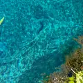 忍野八海の写真_1219703