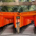 伏見稲荷大社の写真_1219788