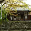 大菩提寺の写真_122004