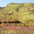 草津白根山の写真_122201