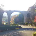 七沢森林公園の写真_122246