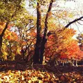 ぼうさいの丘公園の写真_122248