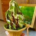奥入瀬渓流館の写真_1222684