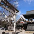 春日神社の写真_122394