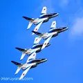 航空自衛隊入間基地の写真_122471
