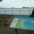 県立高砂海浜公園の写真_1225480