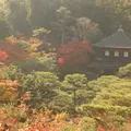 銀閣寺(東山慈照寺)の写真_122592