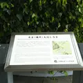 秀吉(備中)大返し力水の写真_1226143