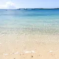 ゴリラチョップの写真_1227176