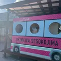 瀬底島マルシェ＆ジェラート PASTEL HEARTSの写真_1227186