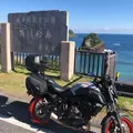 鴨川松島の写真_1227598