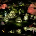 金沢城公園の写真_1228204