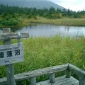 睡蓮沼の写真_122844