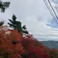 もみじ回廊の写真_1229431