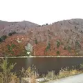 下折立銀山平の写真_122997