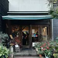 山鳩の写真_1230833