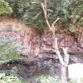 神戸層群の写真_1231622