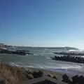 弁天ケ浜の写真_123500