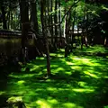 西芳寺の写真_124065