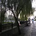 川沿いの散歩道の写真_124757