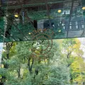 CONNEL COFFEE (コーネルコーヒー)の写真_1258122
