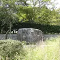 世界の梅公園の写真_1263359