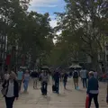 ラ・ランブラの写真_1276691
