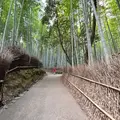 天龍寺の写真_1282800