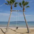 ヤシの木ブランコの写真_1287100