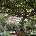 草津熱帯圏の写真_1287198