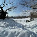 中島公園の写真_1289149