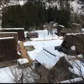 菅沼合掌造り集落の写真_1290383