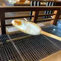 松島蒲鉾本舗 総本店の写真_1290593