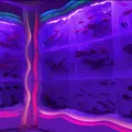 氷の水族館の写真_1290633