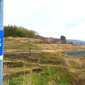 豊島 棚田プロジェクトの写真_1298509