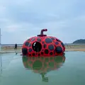 赤かぼちゃの写真_1298510
