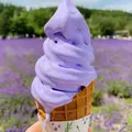 ファーム富田の写真_1305781