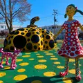 十和田市現代美術館アート広場の写真_1306408