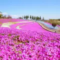 太田市北部運動公園の写真_1307229